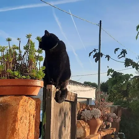 Nyaraló Casa Olivia *