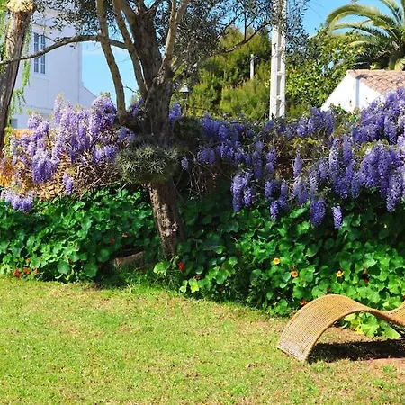 Semesterbostad Casa Olivia Sant Lluis