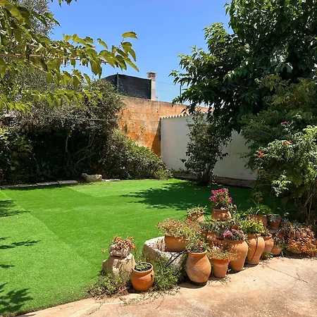 Casa Olivia Nyaraló *