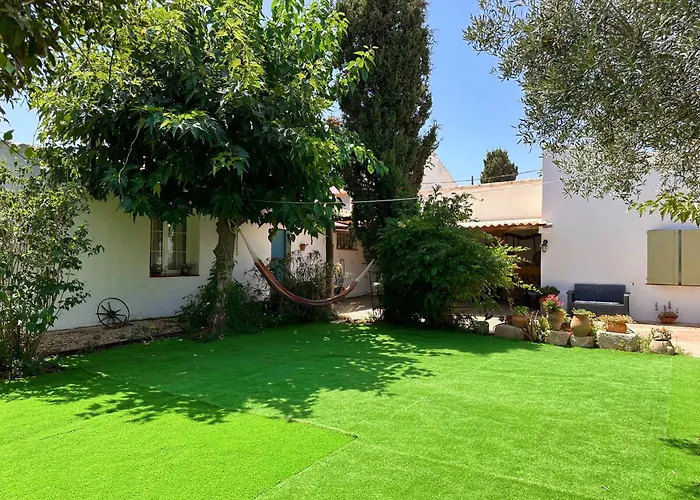 Casa Olivia Tatil Evi