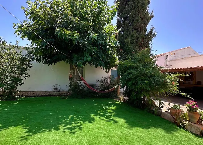 Tatil Evi Casa Olivia *