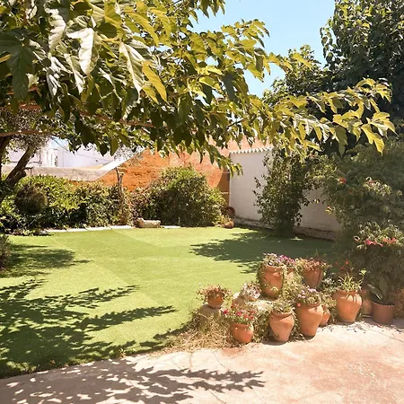 Casa Olivia Holiday home