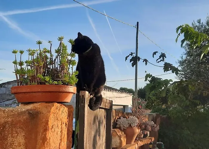 Holiday home Casa Olivia *