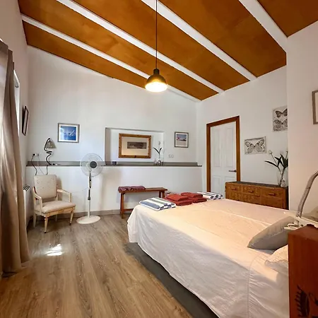 Casa Olivia *